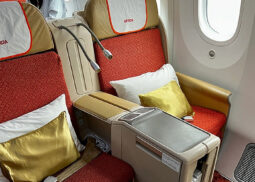 Air India Business Class: Red seats, gold pillows.