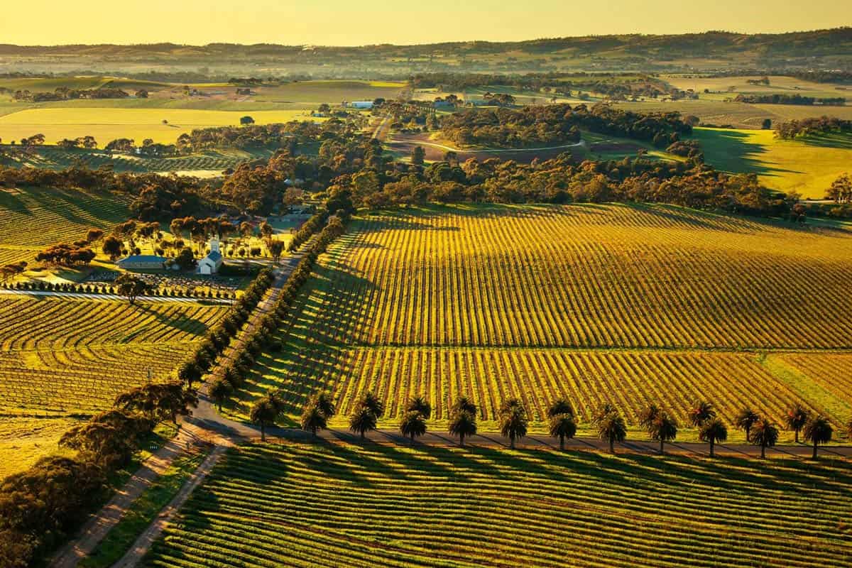 wineries to visit in the barossa