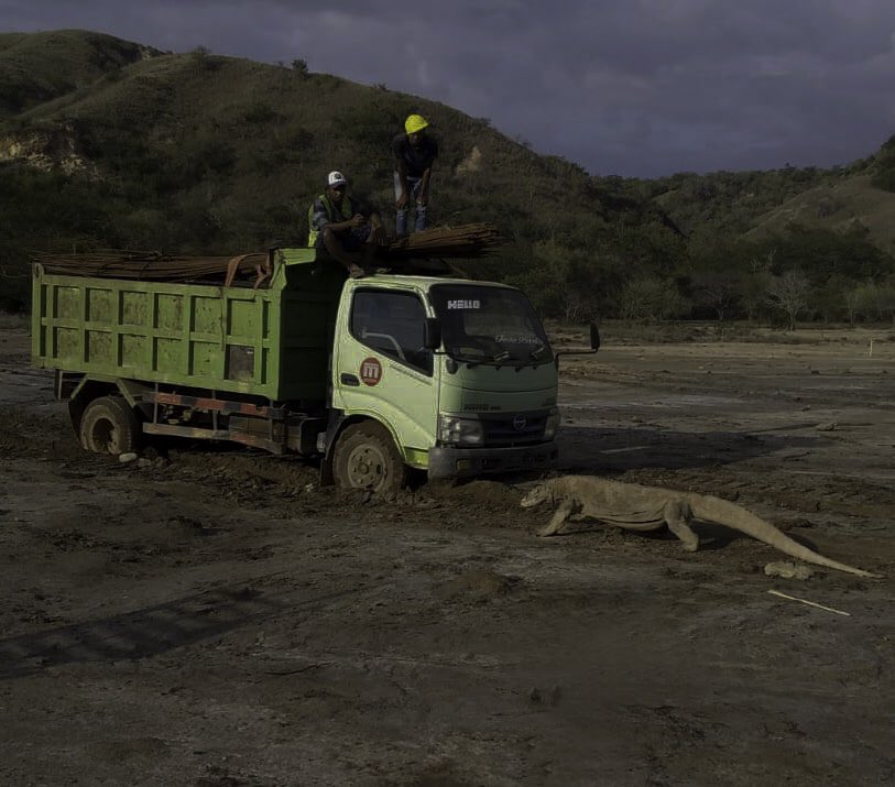 A green truck stuck on Komodo Island.