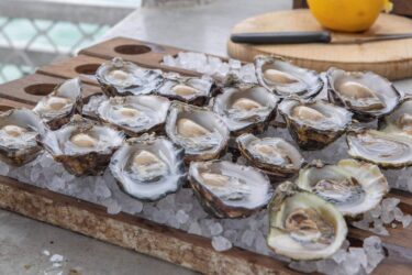 Fresh oysters on ice with lemon nearby.