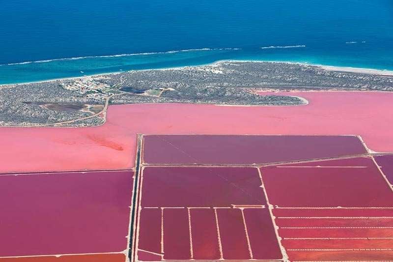 Hutt Lagoon's pink ponds contrast blue ocean.