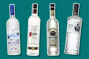 25 Best Vodka Brands To Sip & Mix