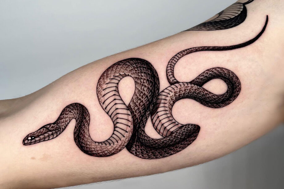 Tattoo uploaded by Tattoodo  Small snake tattoo by Kane Trubenbacher  minimalistic snake  Tattoodo