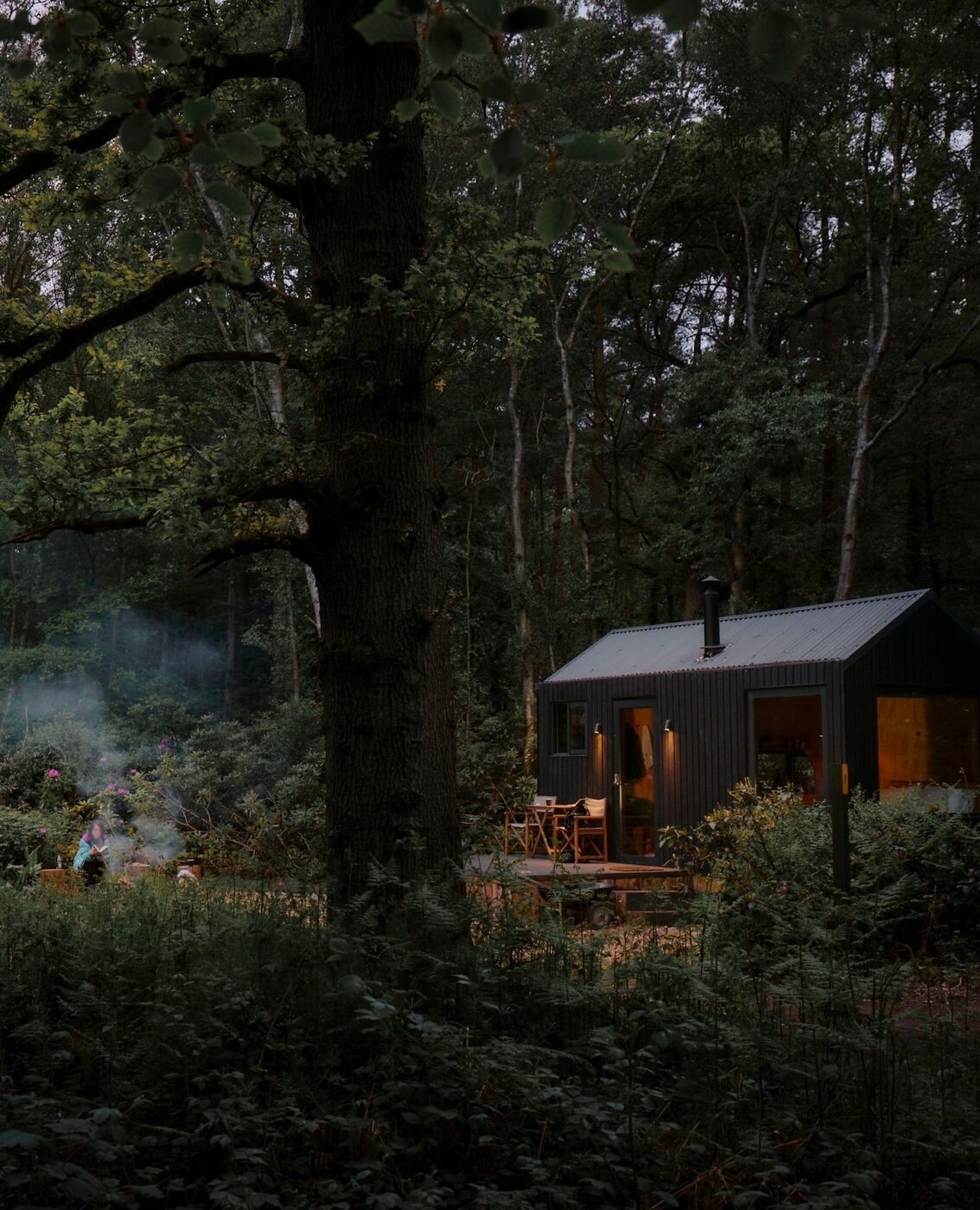 Wooden cabin in Australian forest, serene retreat.