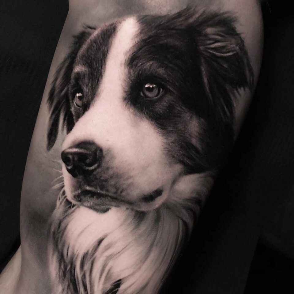 Dog Portrait Realism Tattoo Source @pitbulloulu via tattoodo.com