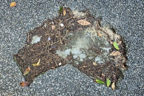 Bondi pothole