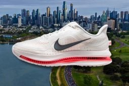 Nike Pegasus Premium